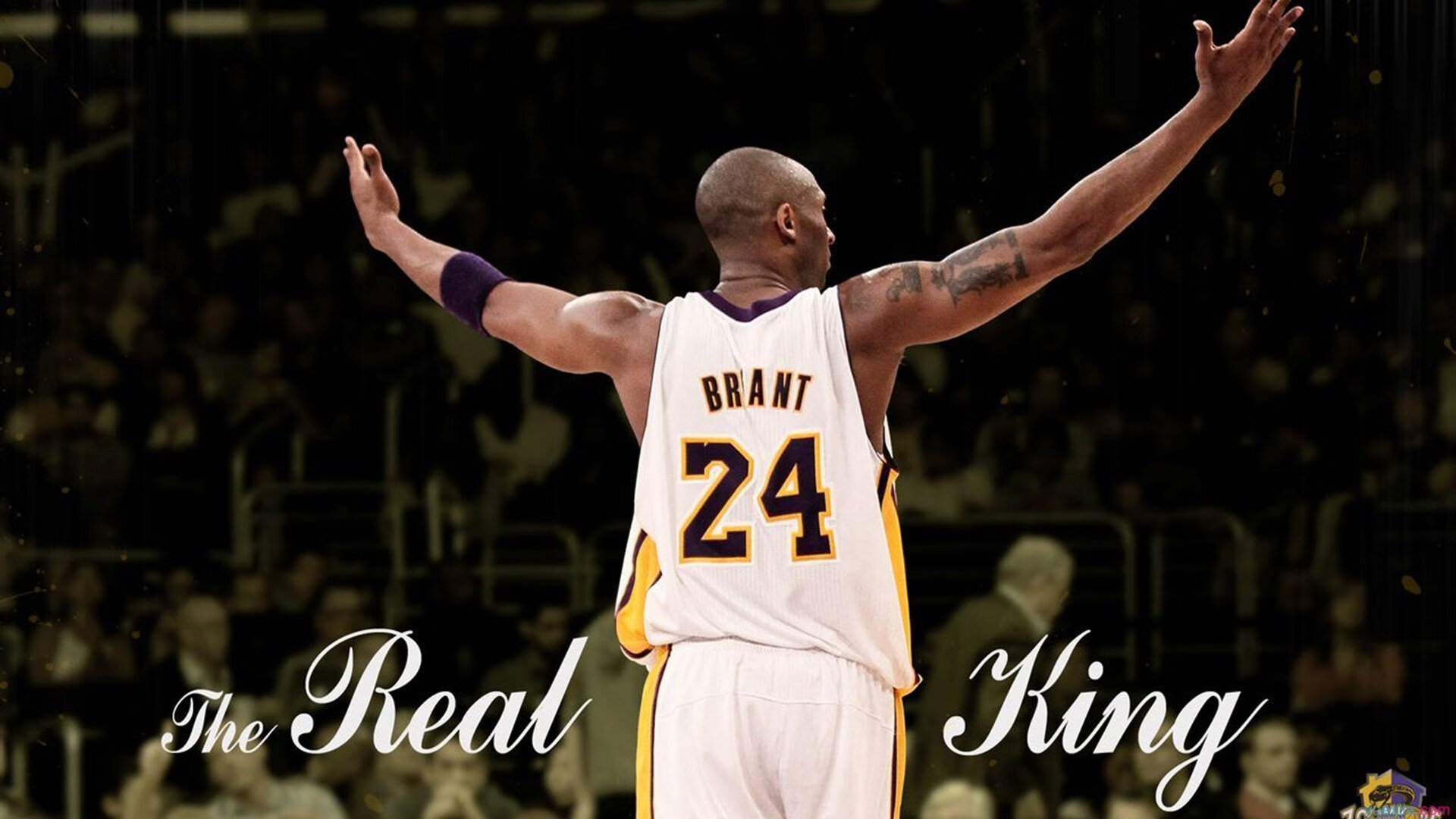 楚阿梅尼持续制造杀伤，罗马正面击溃突尼斯，一场跨越千年的战略对话